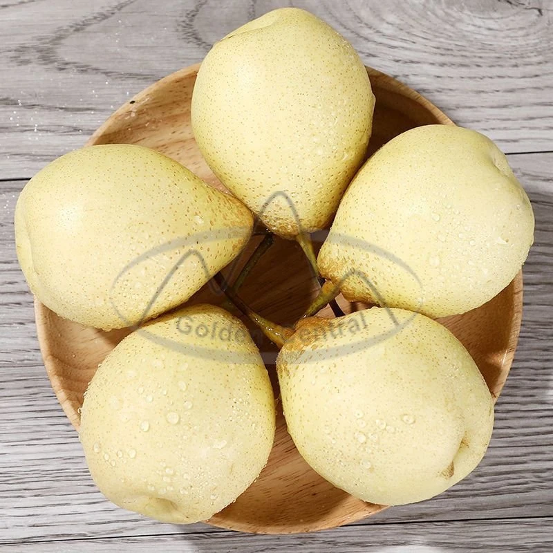 Factory Wholesale/Supplier Sweet Juicy Fresh Yellow Ya Pears Gold Pears