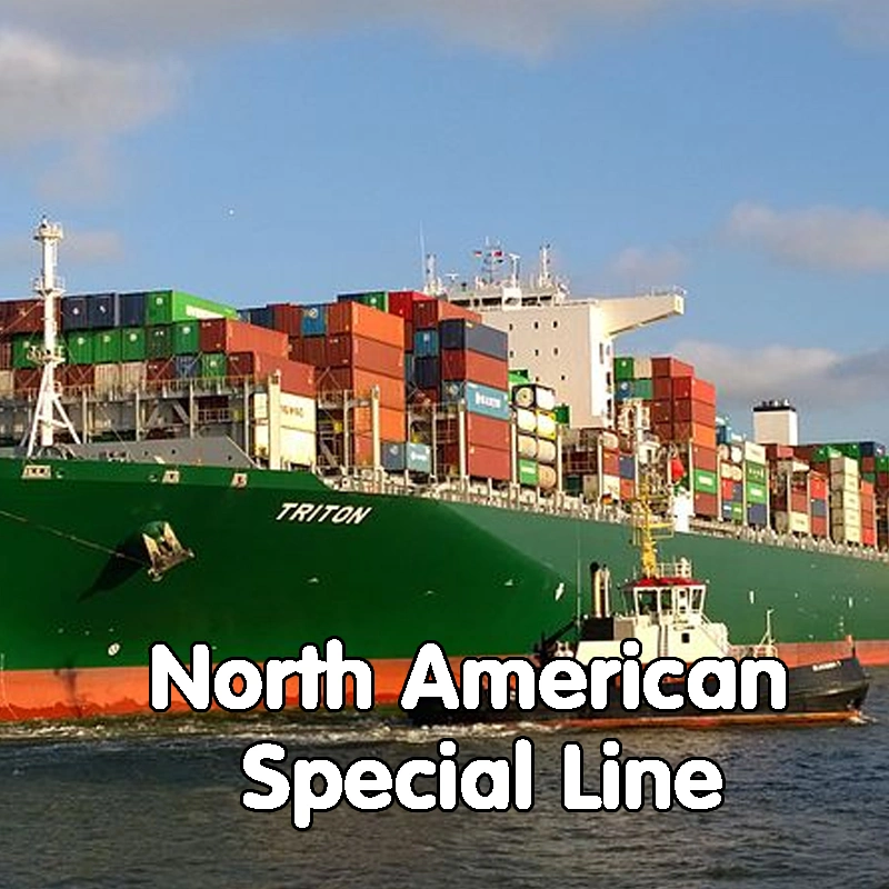 Sea Shipping Company From China to Mexico Freight Forwarder