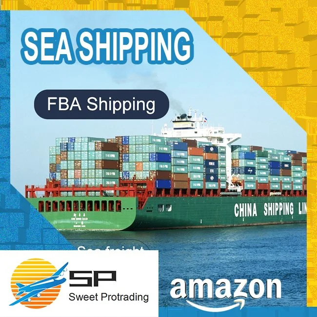 International Realiable Best mais barato Sea Shipping Company com DDP Freight Transportador