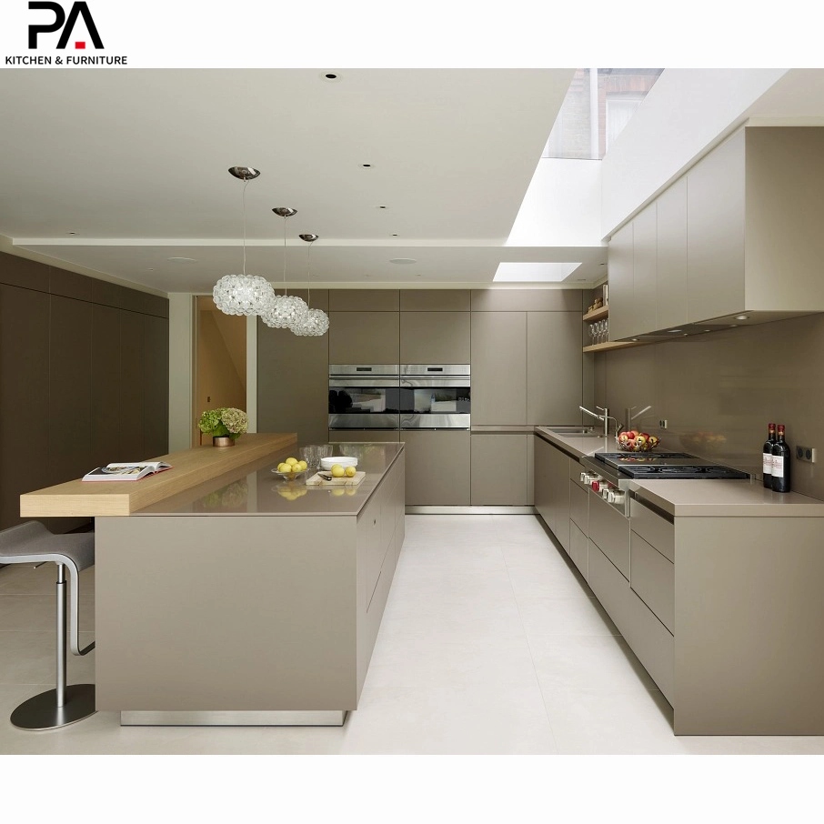 Modular Kitchen Cabinets with Rta Shaker Design Finish