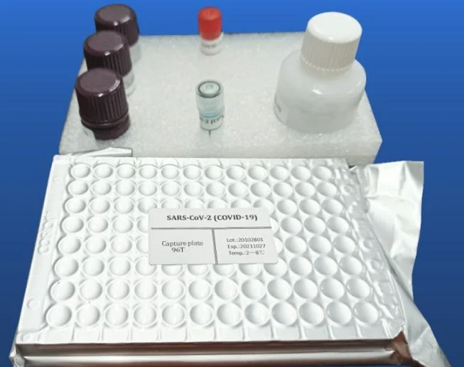 El Síndrome Respiratorio y Reproductivo Porcino Elisa Kit de prueba del antígeno