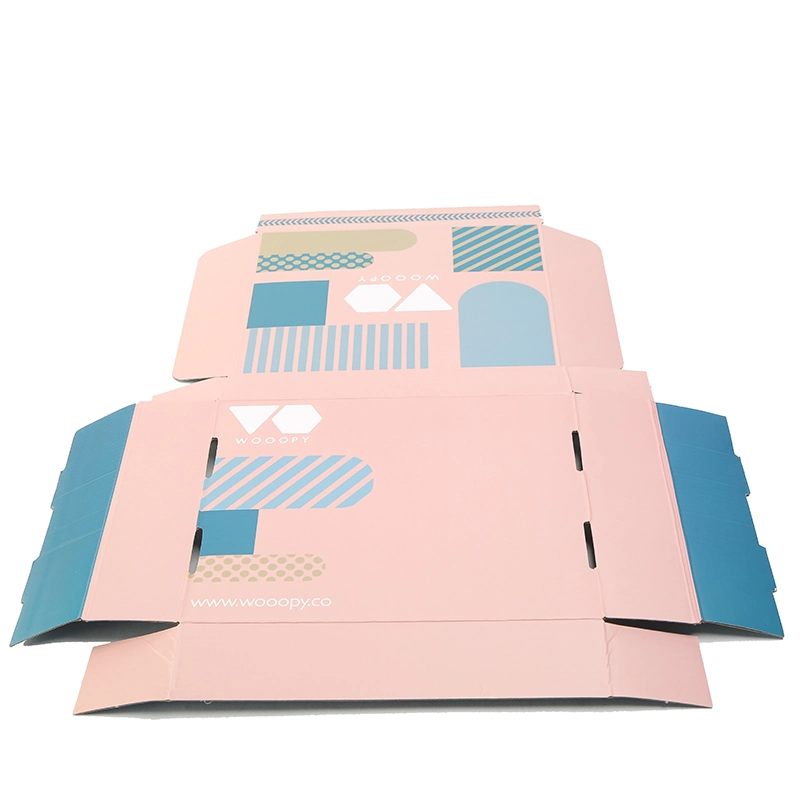 Printed Custom Folding Paper Box for Packing