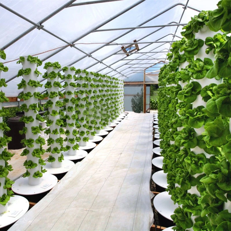 High quality/High cost performance  Economical Hydroponics System for Greenhouse