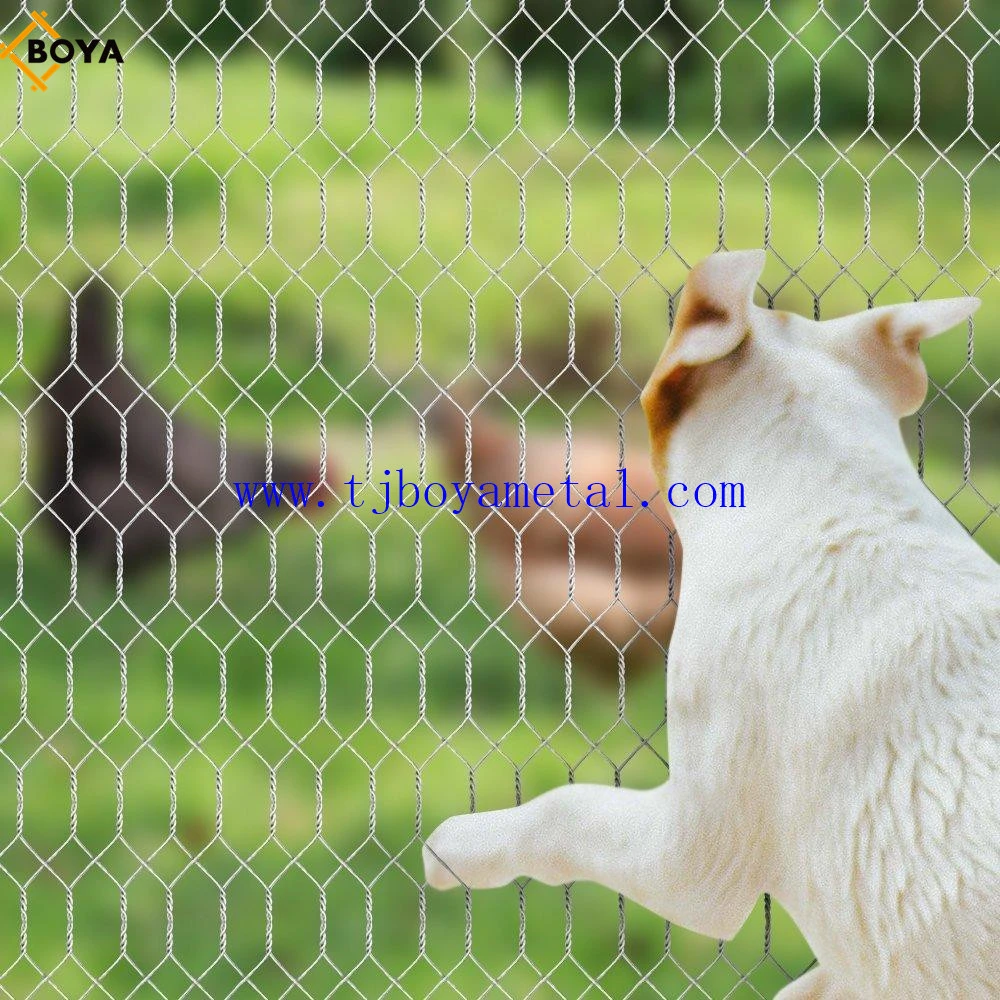 Factory Bird Cage/Chicken Wire/Rabbit Wire From Boya