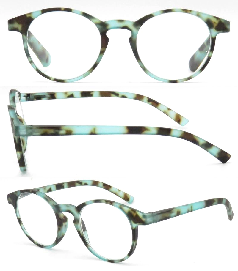 Readsun 2023 Optical Eyewear New Design PC Women Reading Glasses with Oil Printing on Temple