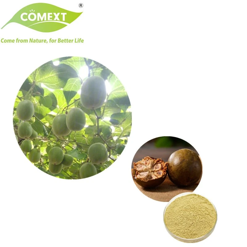 Comext Factory Kosher Halal Fssc HACCP Certified Natural Sweetener Momordica Grosvenori Swingle Monk Fruit Extract