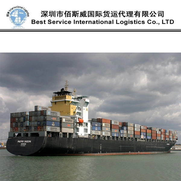 Ocean Freight Forwarder Sea Logistics Shipping From China to Myanmar, Yangon, Thailand, Bangkok/Laem Chabang, Laos DDU/DAP/DDP