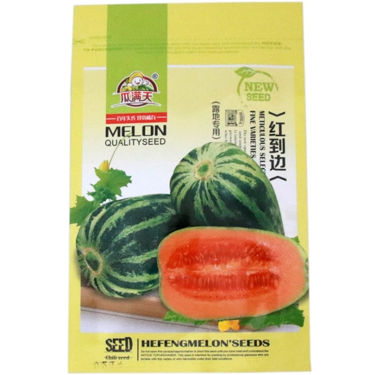 Touchhealthy Fourniture de graines de melon doux / graines de melon pour la plantation