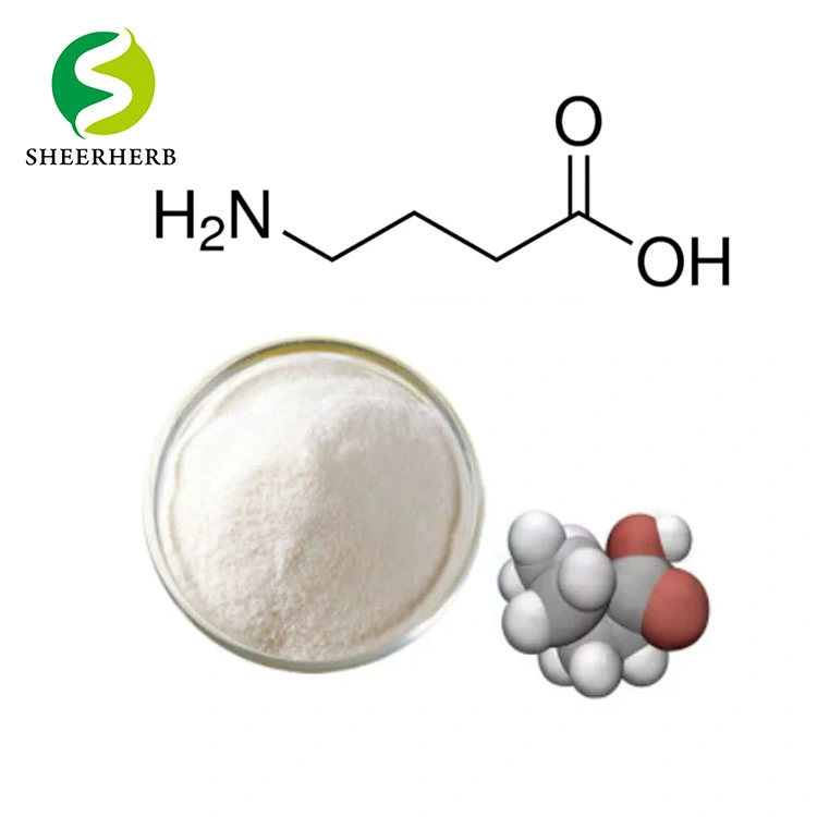 Горячий оптовые продажи 99% ГАМК порошка гамма-Aminobutyric кислоты для беспокойства CAS 56-12-2