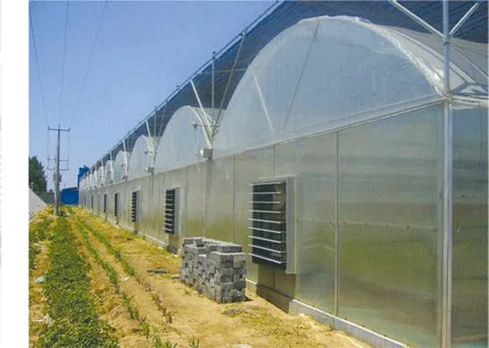 Exhaust /Ventilation/Axial Fan for Industrial, Poultry House Greenhouse