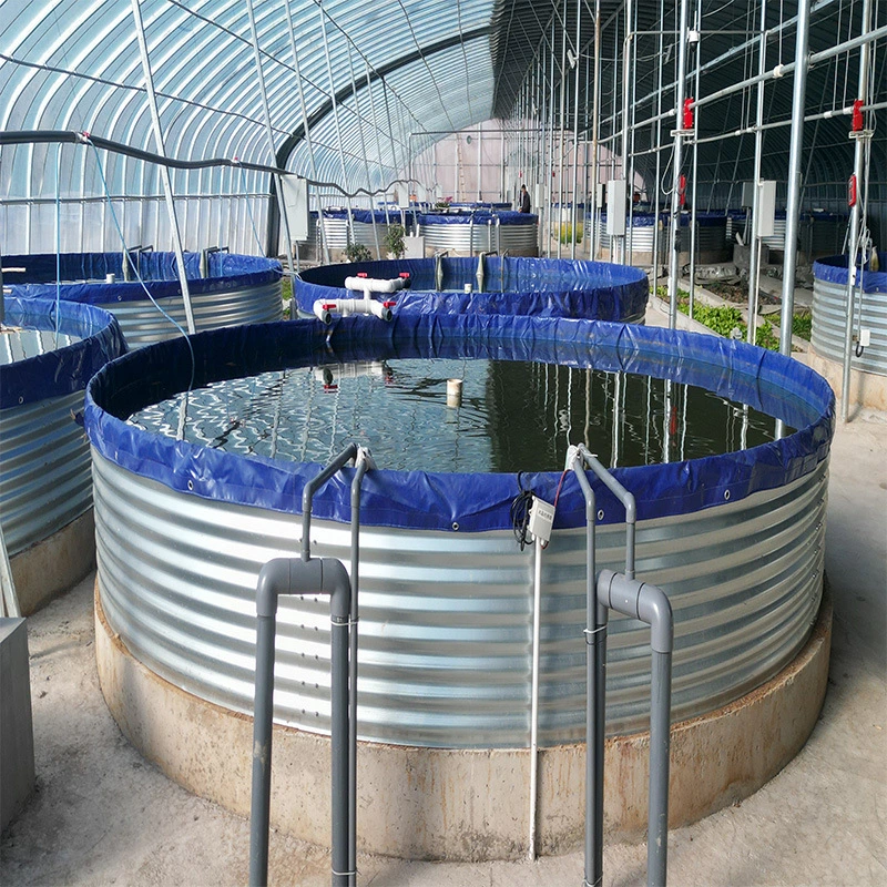 Recirculating Aquaculture System Tanks Tilapia Fish Farming 1000L~1000, 000L