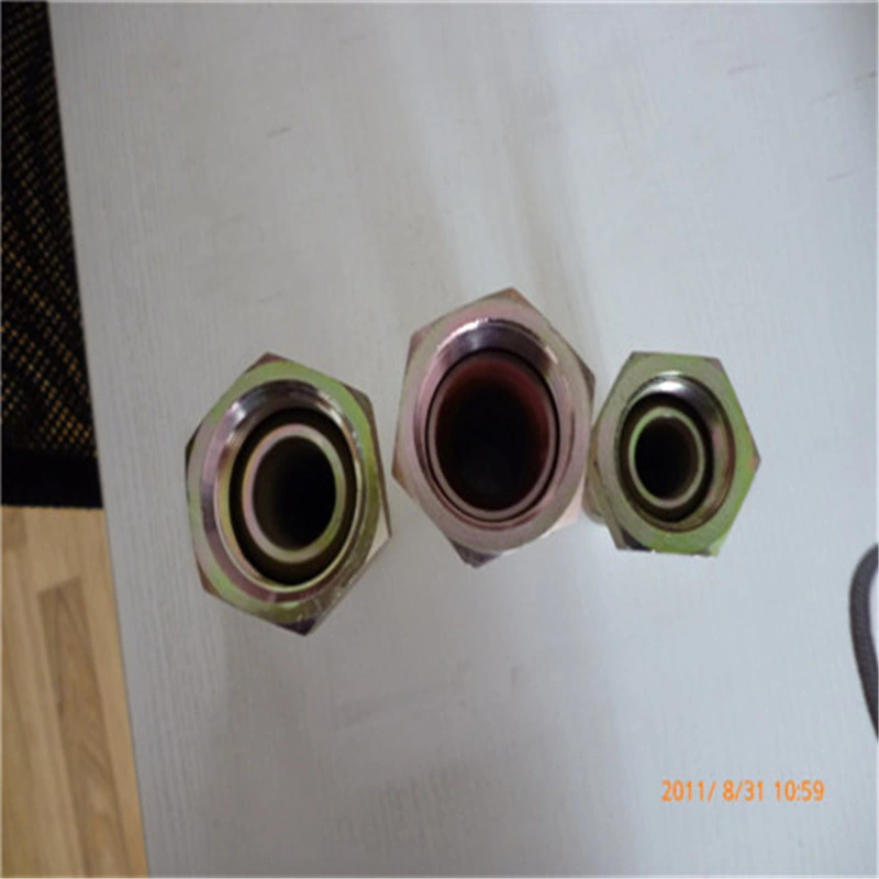 Bsp Female Coupling Fitting Bsp Standard Hose Fitting