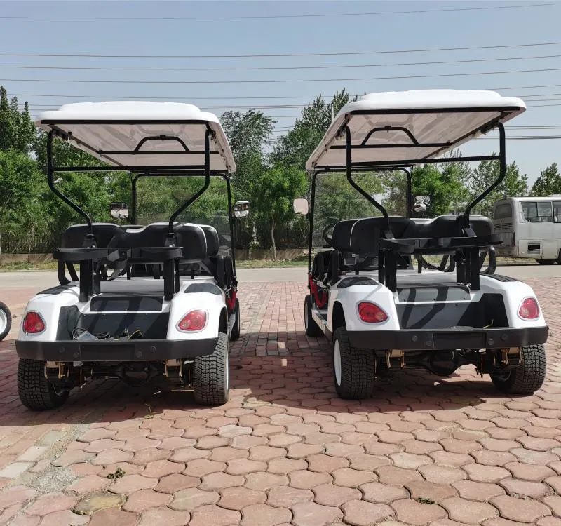 New Energy Golf Cart China Supplier Good Price Golf Car Electric Hot Sales to America
