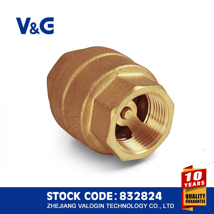 Válvula de retenção da mola em latão inoxidável (VG12.90081)