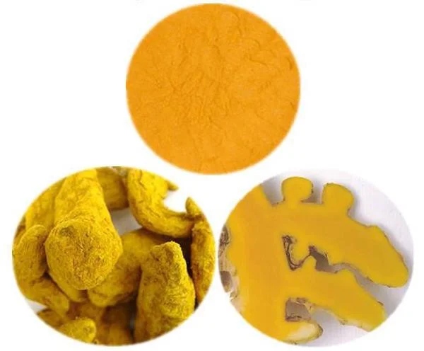 Natural Tumeric Root Extract Bulk 95% HPLC Curcumin Powder