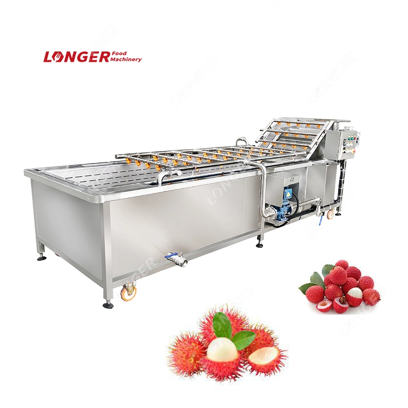 Removal Insect and Stain Lonyan Rambutan Washing Processing Machine Vegetable Fruit Wahser Plant