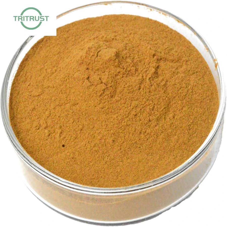 Wholesale Blood Pressure Olive Leaf Powder Oleuropein 40%, 50%, 60% Olive Leaf Extract