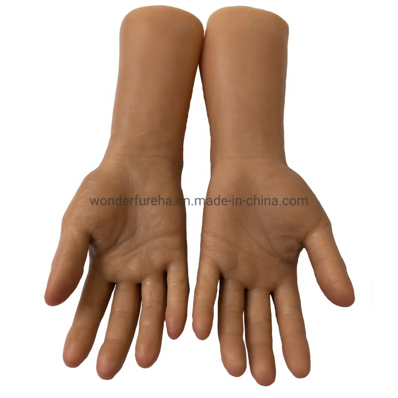 Prosthetic Limbs Artificial Hand Orthopedic Implants Artificial Prosthetic Silicone Hand