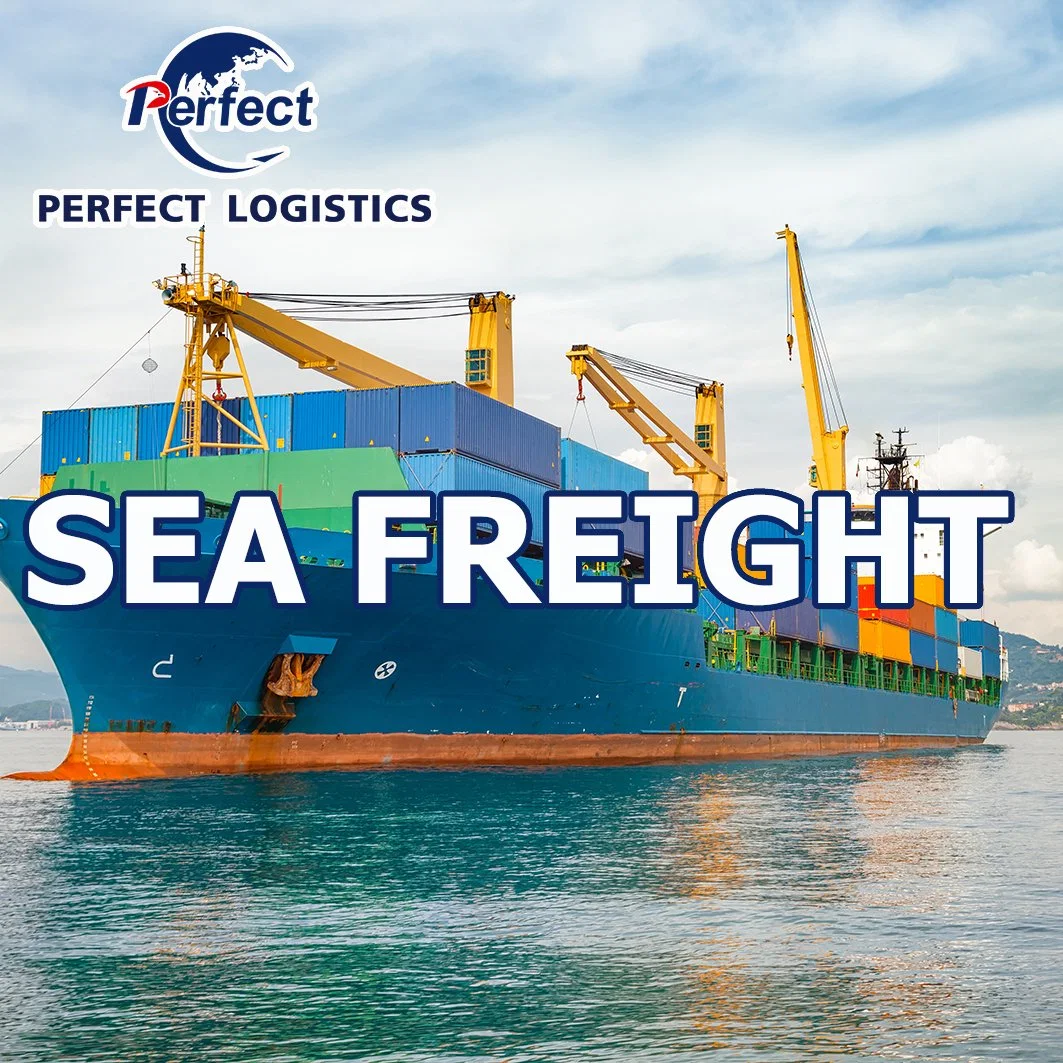 Freight Forwarding Shipping Agent China to Denmark Logistics Services