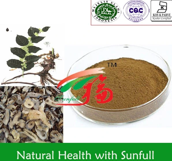 Natual Plant Extract Polygonum Cuspidatum Extract Active Constituent Resveratrol 98% Anti-Allergy Factory