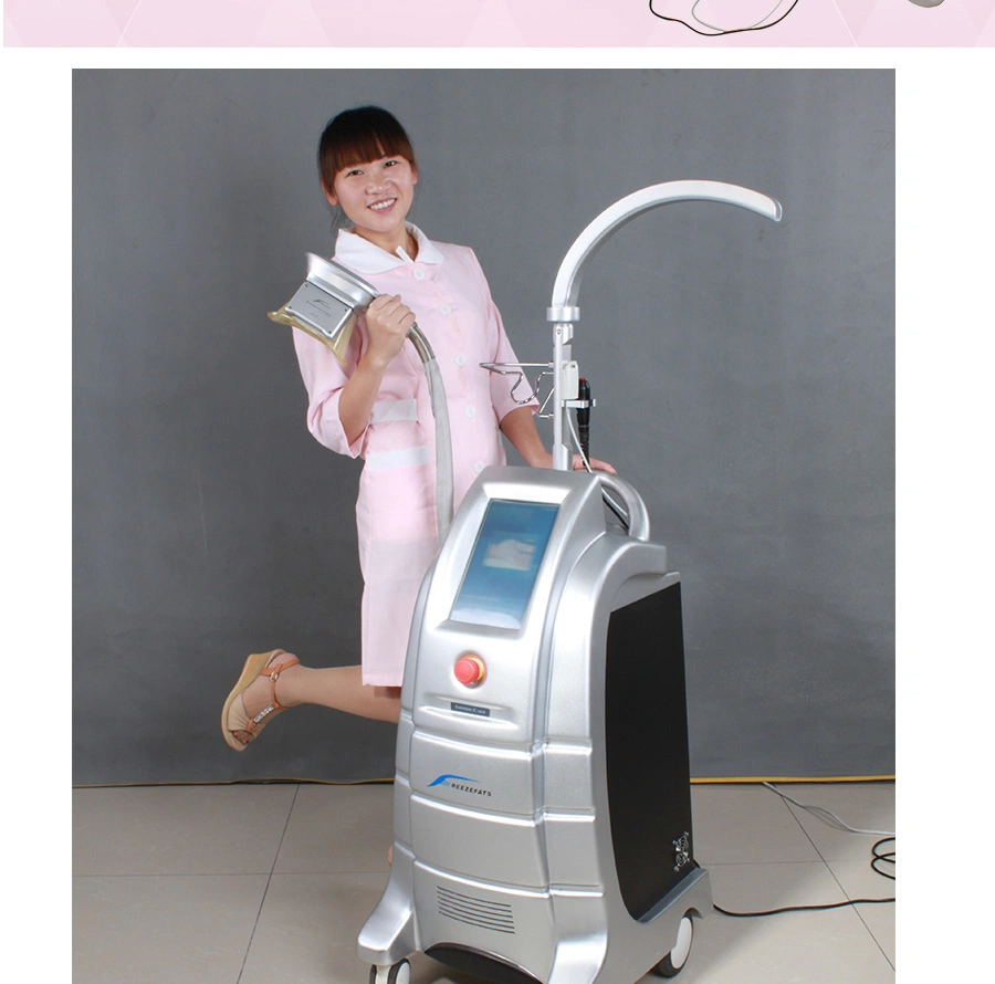 Hot Selling Professional Cryolipolysis Anti Freezing Equipment (ETG50-3S)