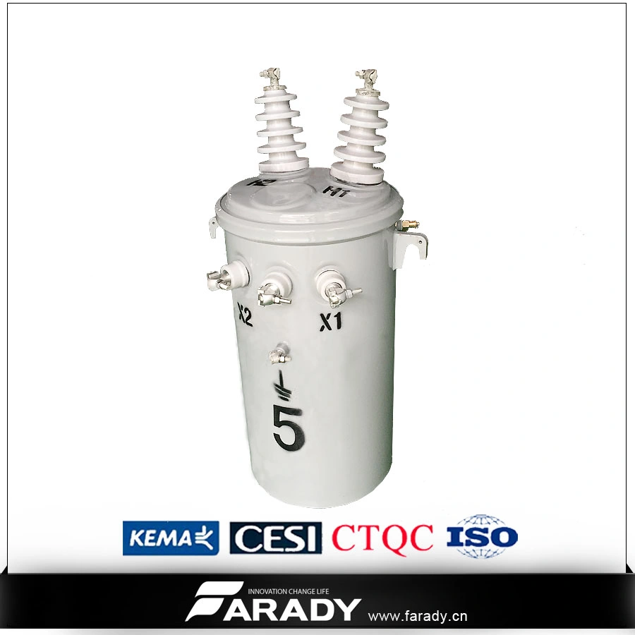 7620/13200V 10kVA Amorphous Core Transformer (AMDT)