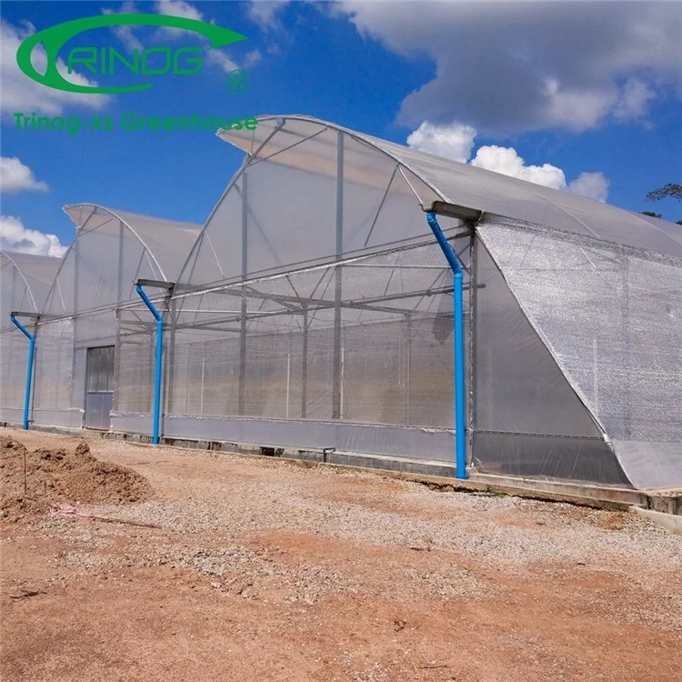 Low Price Hot Galvanized Pipe Frame Large Clear Multi-Span Cultivation Hydroponics System Film Greenhouses for Sale