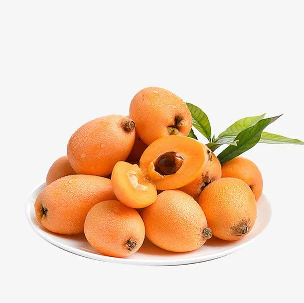 Food Grade Natural Plant Eriobotrya Japonica Loquat Fruit/Leaf Extract Ursolic Acid