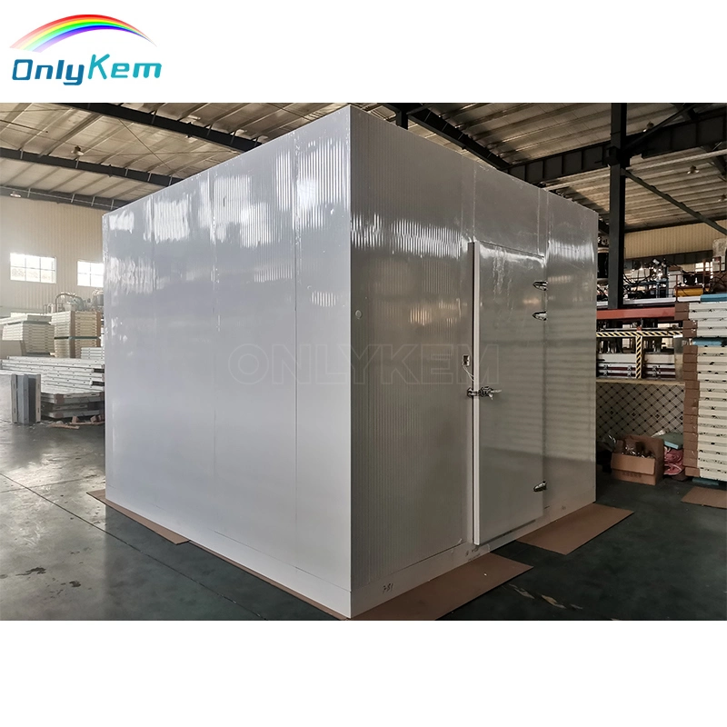 Refrigeration Cold Room Walk in Freezer Chiler Room Cold Storage