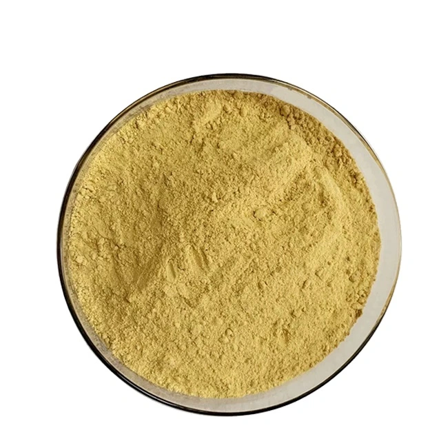 Food Grade Natural Organic Motherwort Herb Extract Powder