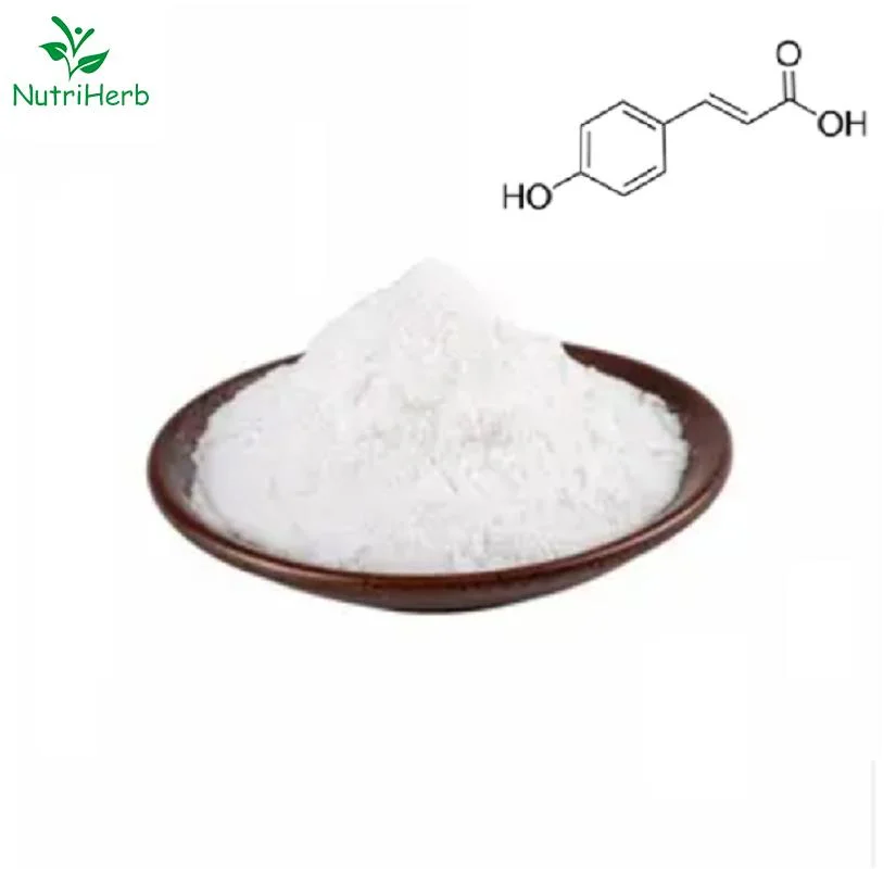 P-Hydroxy-Cinnamic Acid CAS 501-98-4 Manufacturer