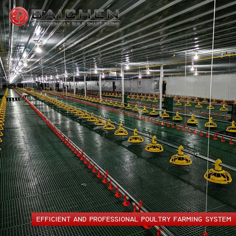 Chicken Raising Equipment Broiler Floor Raising System