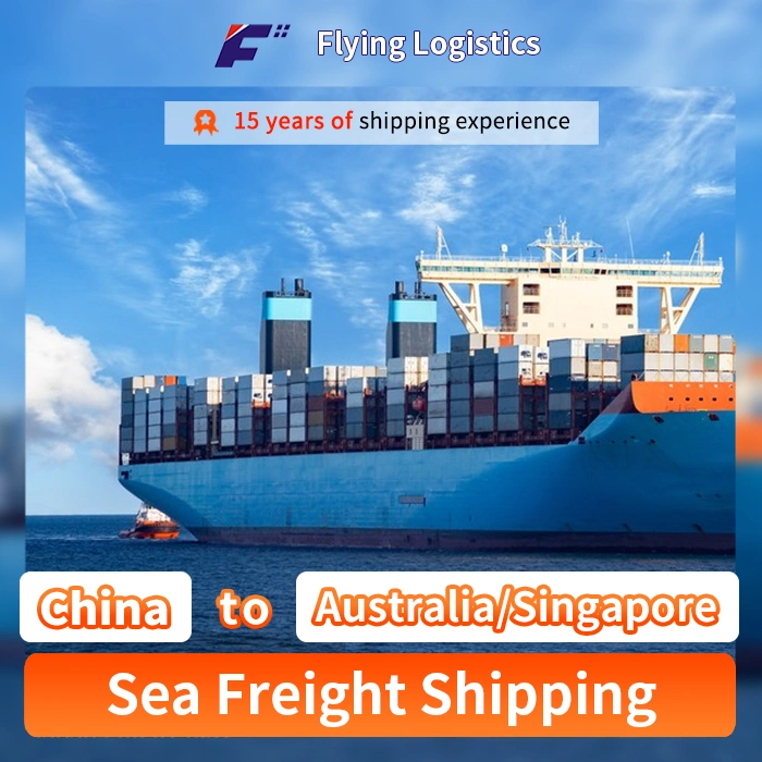 FCL LCL Cargo Ship Price Logistics Forwarder Sea Freight Agent From China to Australia/Singapore with Customs Clearance/Duty/Tax Top Shipping Company