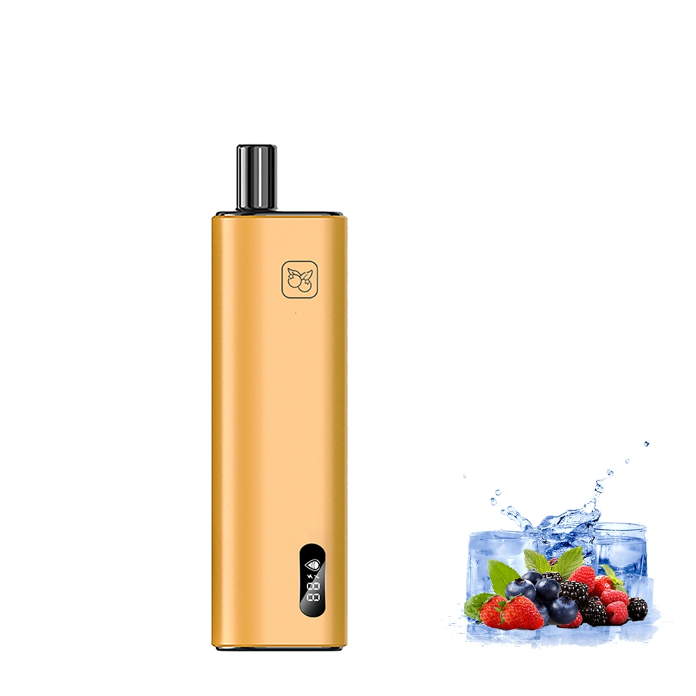 Wholesale/Supplier E-Cig Tornado 10000 Puffs Disposable/Chargeable Vape Pen Electric Hookah Price Wape