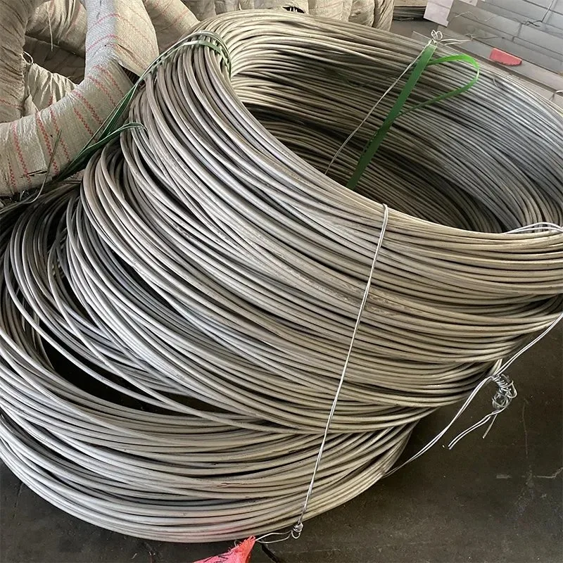 0.45 mm 0.5 mm 0.6 mm Spool Packing Gi Wire Galvanized Iron Wire for Nose Bridge Making Galvanized Steel Wire for Home FTTH Optical Fiber Drop Cable