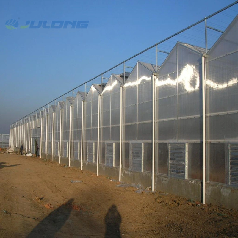 Complete Glass Agriculture Greenhouse Israel Project with Hydroponics Soilless Culture Technology