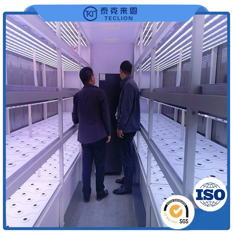 9600 * 650 * 2500mm Intelligent System Automatic Container Greenhouse Farm Multi-Layer Indoor Lettuce Plant Growth