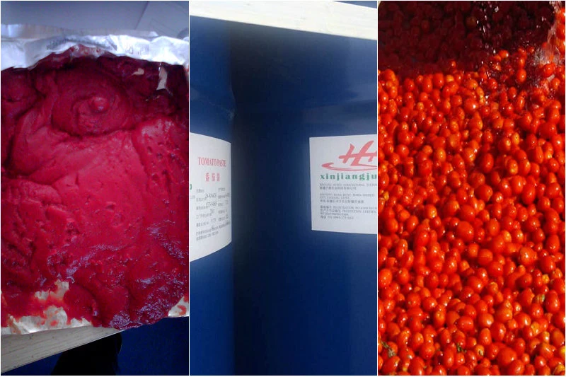 ISO Certificated Xinjiang High quality/High cost performance Tomato Paste Brix 28-30%/36-38%/30-32% Hb&CB