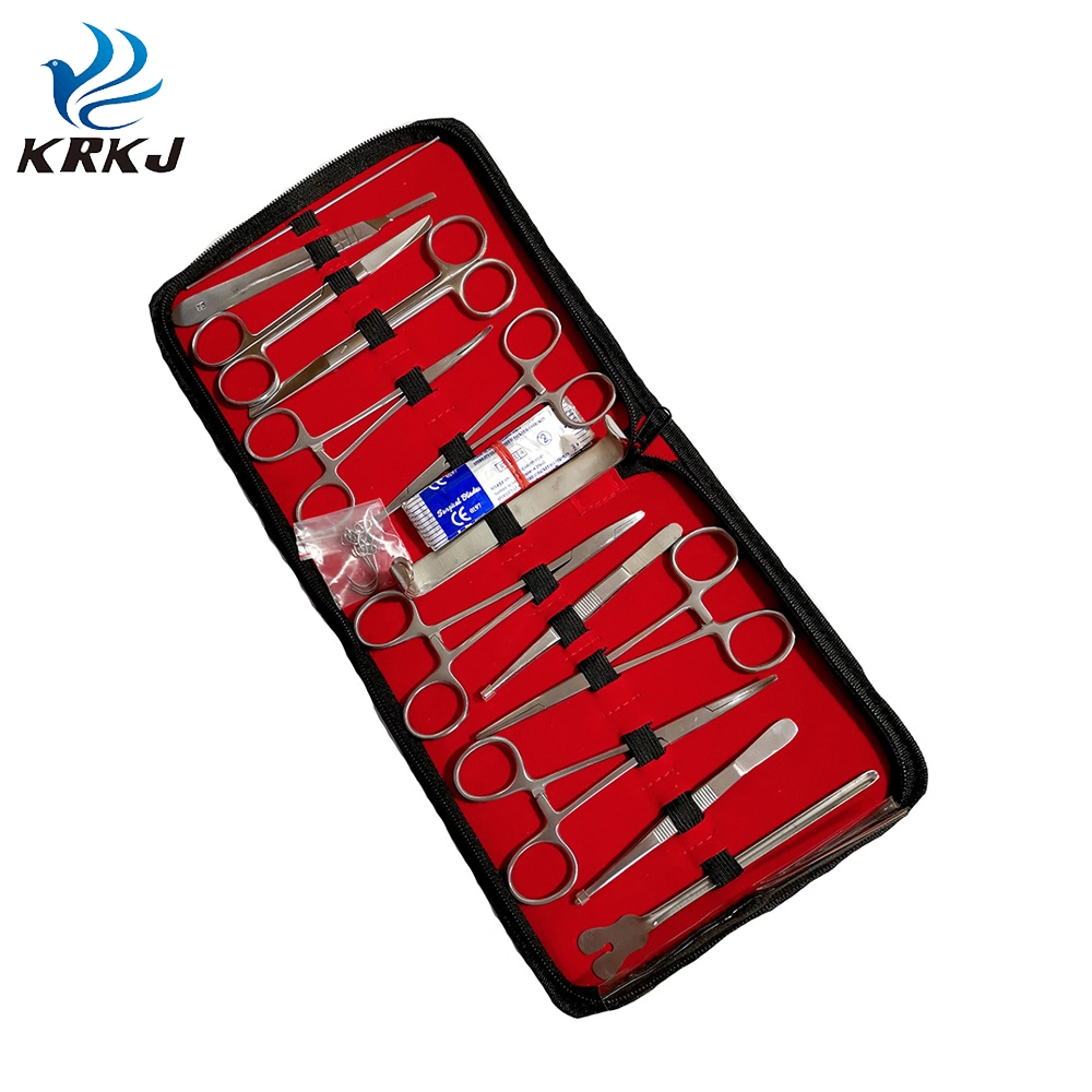 Stainless Steel Material 5 PCS Tool and 5 PCS Blades Dissecting Kit Set