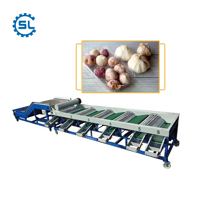 6 Levels Walnut Date Garlic Grading Sorting Sizing Machine