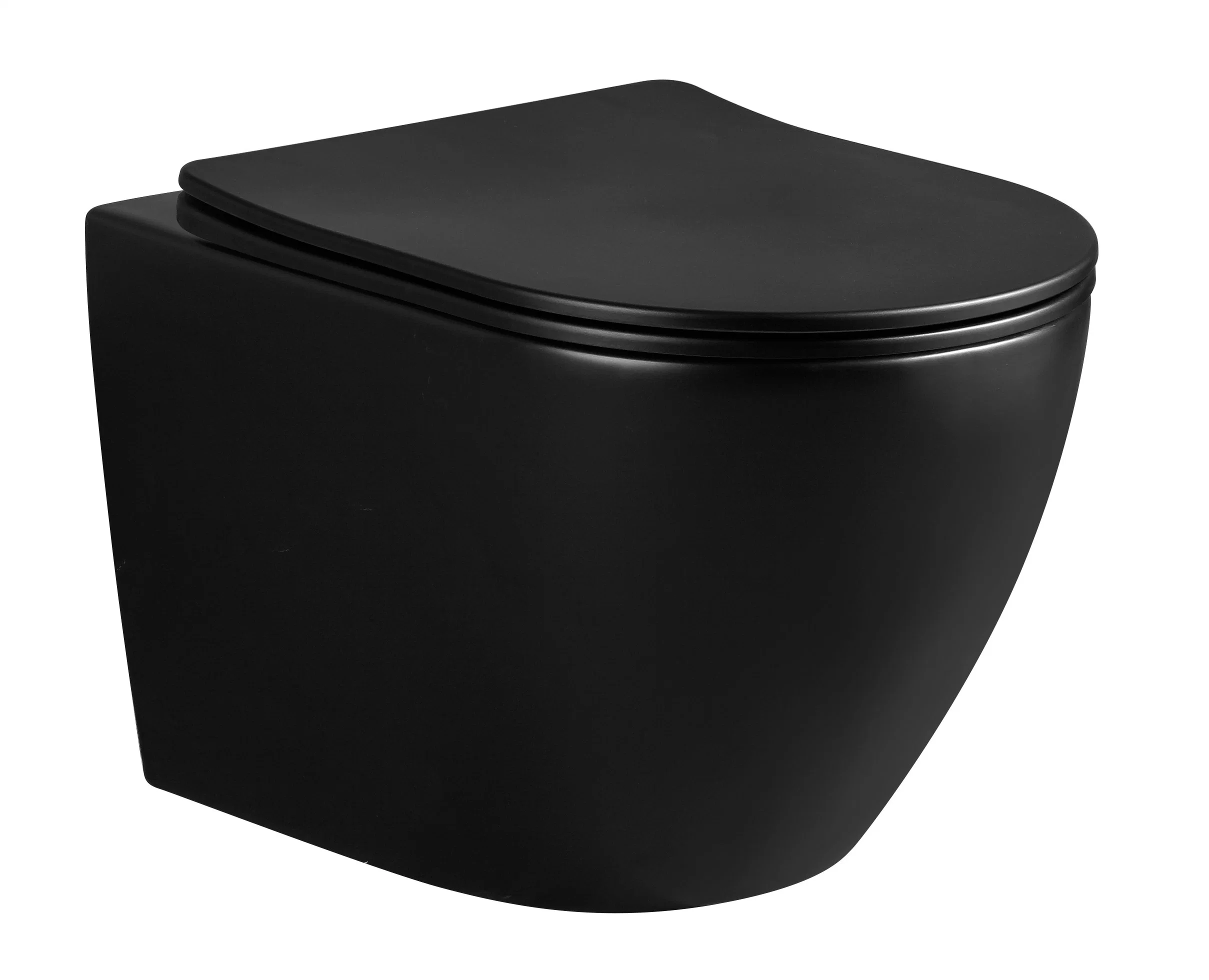 Baño de cerámica Sanitarware Negro mate WC pared de baño Hung agua Armario