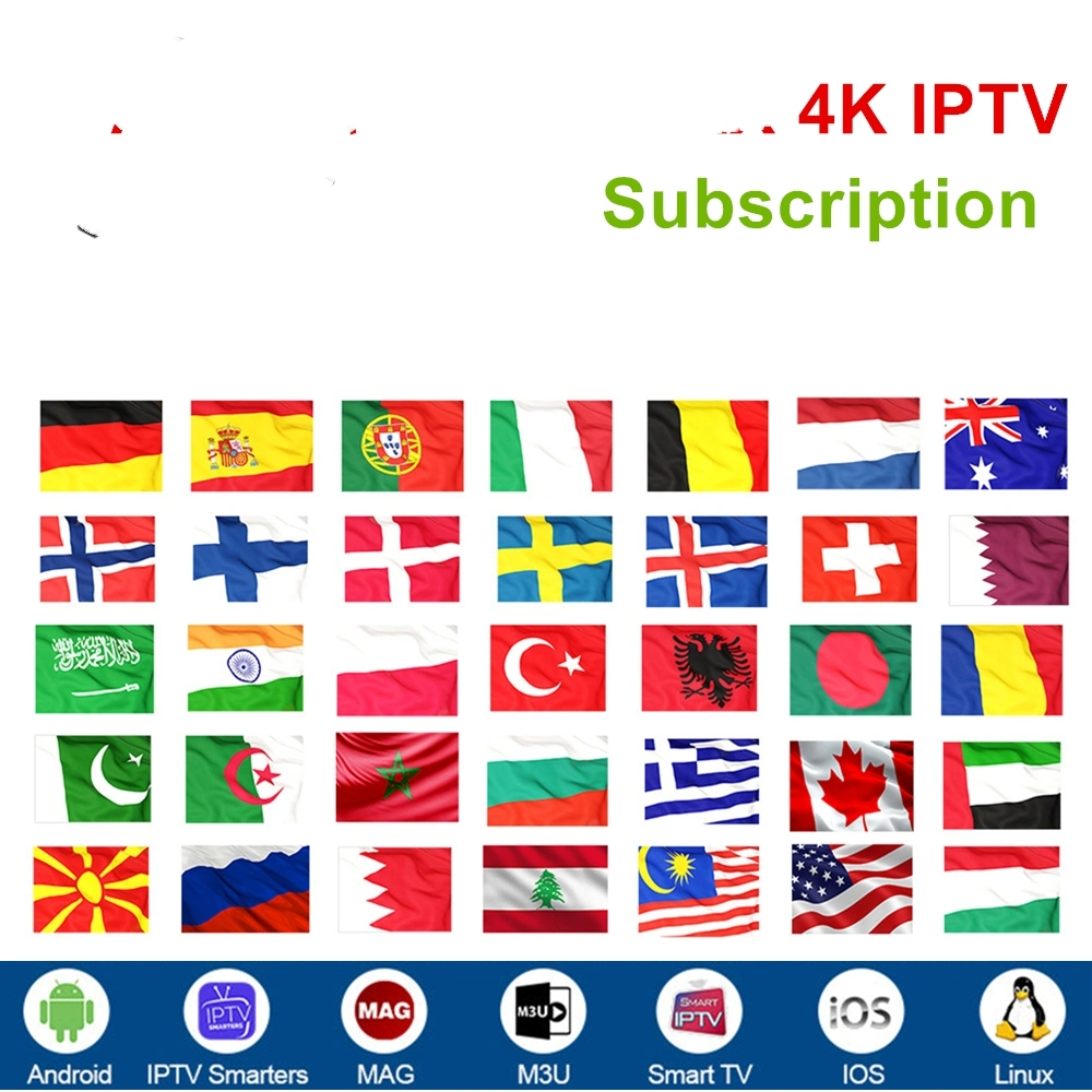 1 ano Qhdtv abonnement Código de subscrição IPTV Europa Espanha Portugal França Italia Árabe Itália Francês Bélgica para Android Smart TV Box M3U Qhdtv IPTV