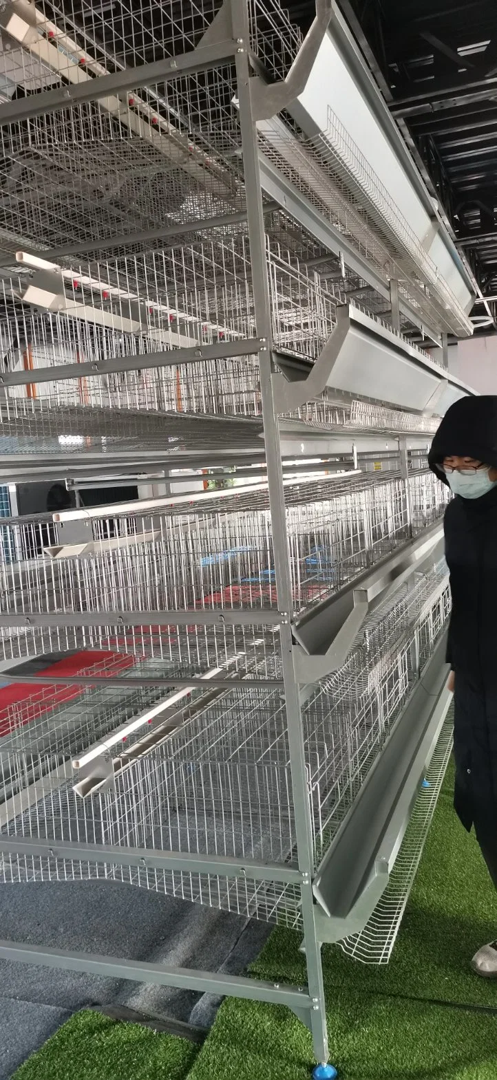 Layer Chicken Battery Cages/Automatic Chicken Layer Cage Poultry Farm