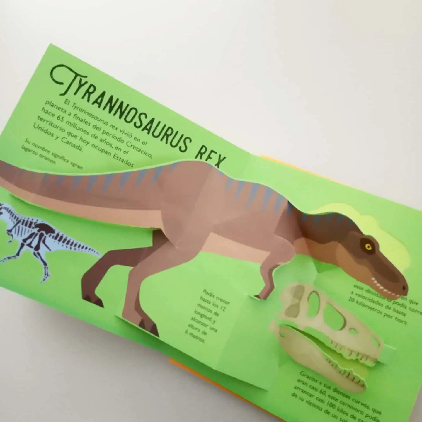 Custom Color Eco-Friendly Dinosaur Picures Story Kids Baby Board Book Printing