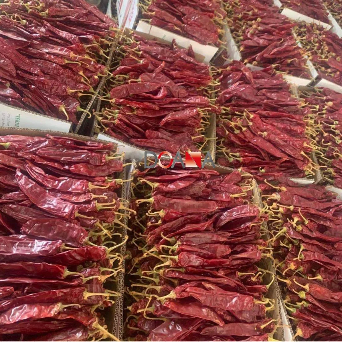 Buen precio Paprika Chile rojo seco dulce