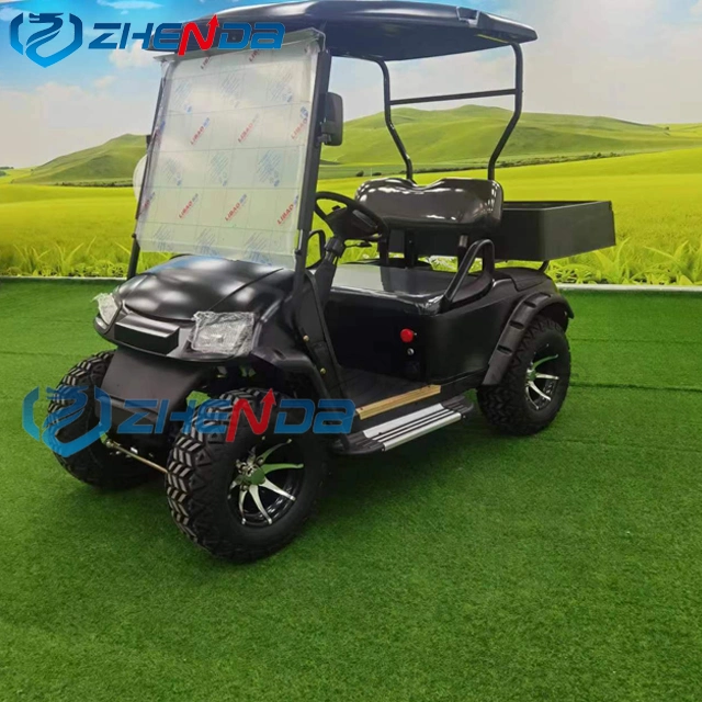 Factory Direct Sell Signal 2 Seats Mini Club Cart Lithium Battery Golf Buggy Gas Powered Golf Car Cart