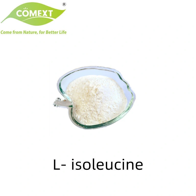 Comext Factory High Purity L-Isoleucine فوائد مستويات الغلوكوز، قوة العضلات