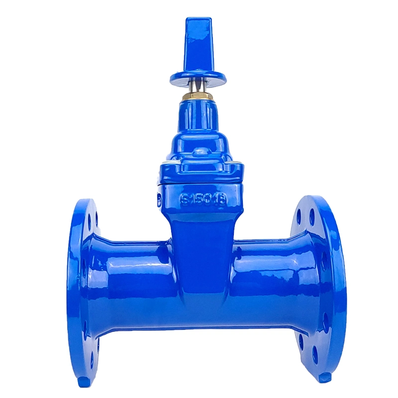DIN F5 Series Gear Operation Carbon Steel Flanged End Type Non Rising Stem Gate Valve