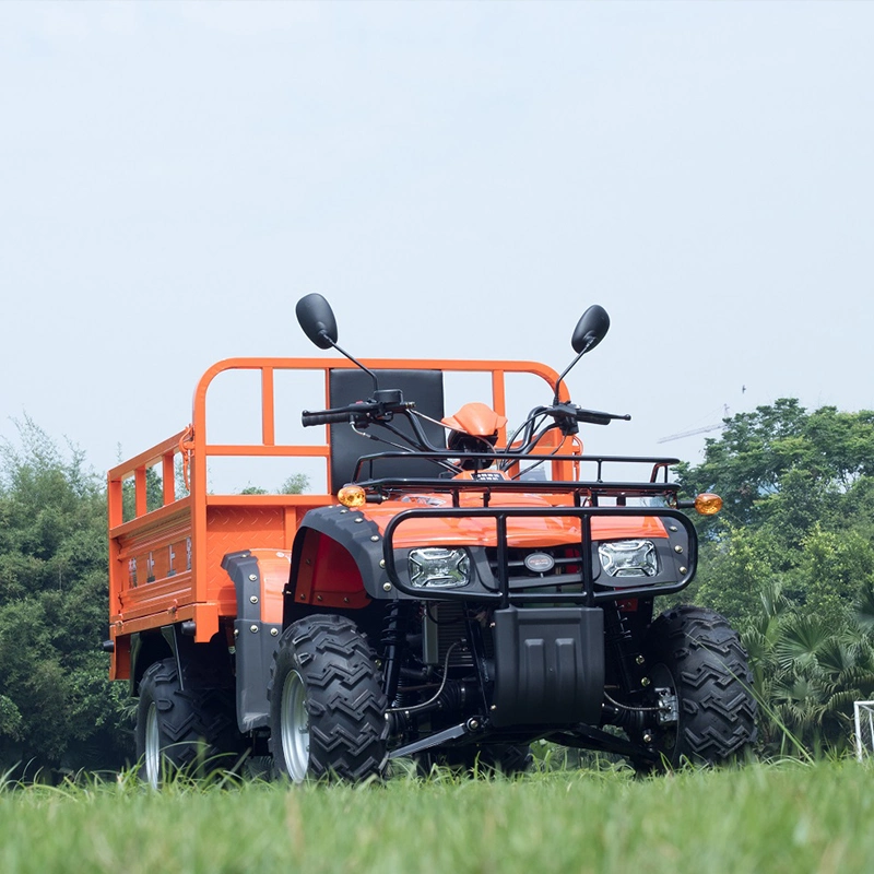 Shaft Drive Electric Quad 4X4 EV Adult Aerobs Farm ATV