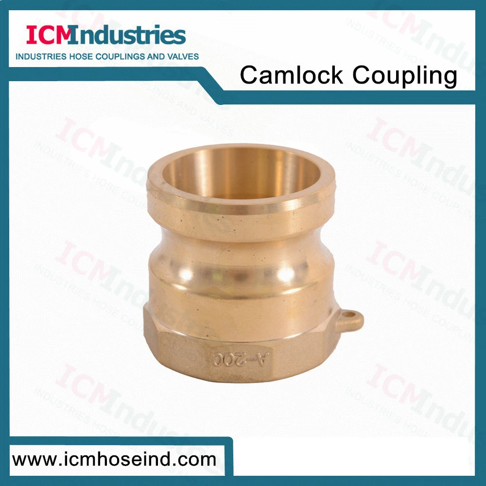 Forged Brass Hydraulic Quick Disconnect Coupling